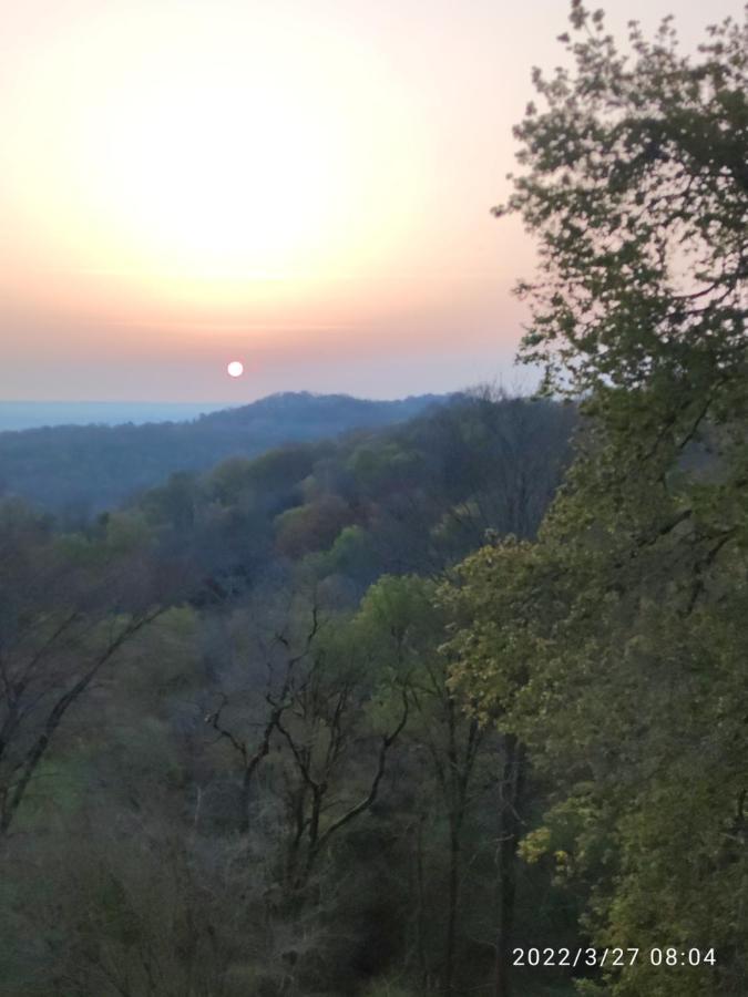 B&B En Plein Coeur De La Foret Artiguelouve Dış mekan fotoğraf